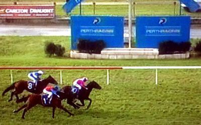 Danablue & Mad Brad Finish 2nd In Their Races At Belmont