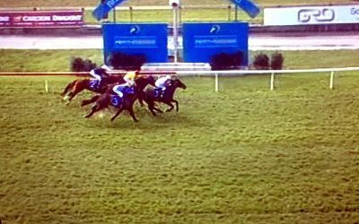 Raising Dubai Lands The Big End Of the Prize In Race 6 At Belmont