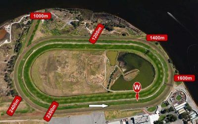 Stable Runners For Belmont On Saturday