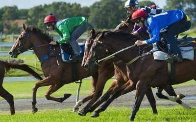 Lark Hill Trial Runners For The Stable, Tuesday 29th Of September