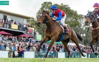 Ben Pearce To Supply 3 Runners To Toodyay On Sunday