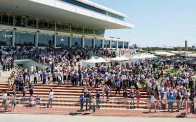 Stable Runners For Belmont On Saturday