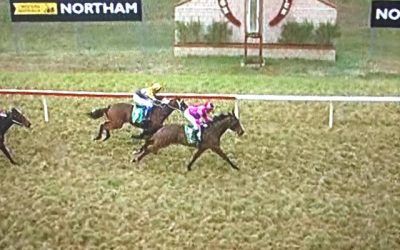Gigidy Gigidy Goo Puts In A Top Effort To Score At Northam