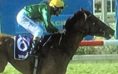 Roman Fighter Lands The Prize At Belmont With Hall The Pilot