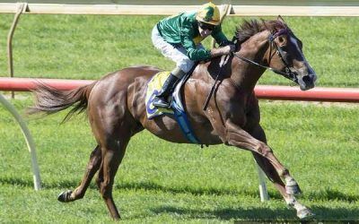 Roman Fighter To Compete At Belmont On Wednesday