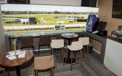 Vital Edition On Quick Back Up At Ascot On Wednesday