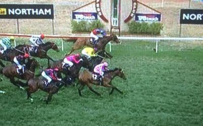 Corse He’s Quick Runs A Handy 2nd At Northam