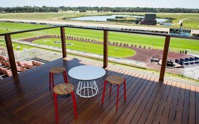 Ascot Stable Runners For Saturday