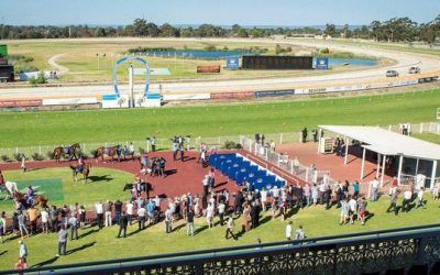 Gigidy Gigidy Goo & Lady Natesa, To Compete At Ascot, Wednesday