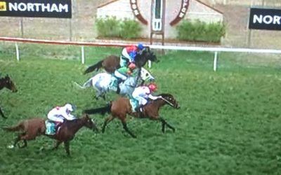 Poet’s Tale Game In Defeat At Northam