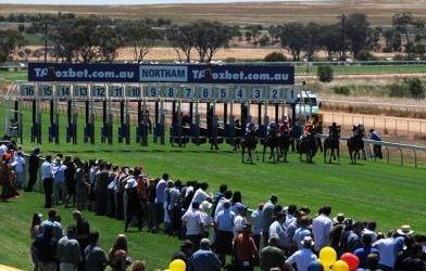 Poets Tale To Compete At Northam On Wednesday