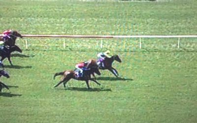 Don’tgetcaught Runs A Nice 2nd At Belmont