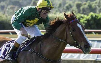 Roman Fighter Accepts To Run At Belmont On Saturday