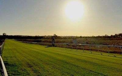 Poet’s Tale To Compete At York On Friday