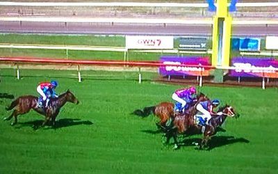 Poet’s Tale Finishes 3rd At Bunbury