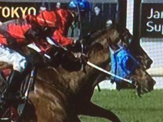 Vital Edition Dead Heats For The Major Prize At Ascot