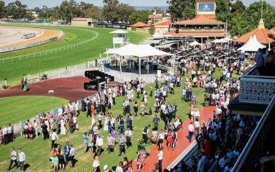 Ascot Stable Runners On Saturday, Including Raising Dubai In The Ascot Cup