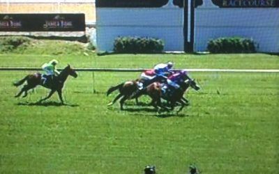 Bomber Bay, So Unlucky To Finish 3rd At Ascot