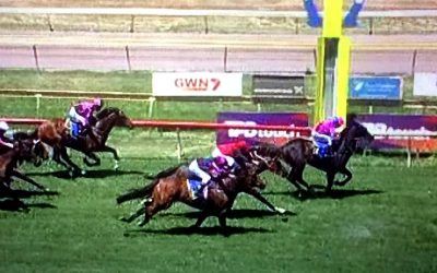 Snitzblitz Finishes Strongly At Bunbury