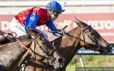 Lady Natesa To Compete At Ascot On Wednesday
