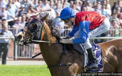 Bomber Bay To Compete At Bunbury