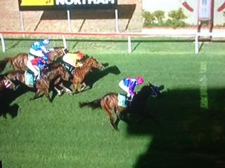 Poet’s Tale Runs An Honest 3rd At Northam