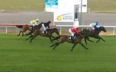 Proud History Lands An Honest 3rd At Narrogin On Australia Day