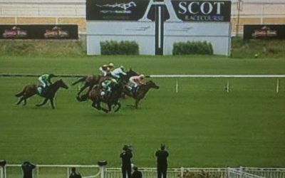 Le Patron & Harvey Combine To Win The 1st On The Ascot Card