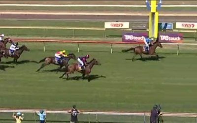 Snitzblitz Lands In Second At Bunbury