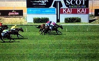 Don’tgetcaught Runs Another Honest Race At Ascot