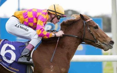 Le Patron Returns To Ascot On Saturday