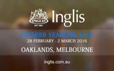 Ben Pearce Racing Is Shopping At The Inglis Premier Yearling Sale In Melbourne