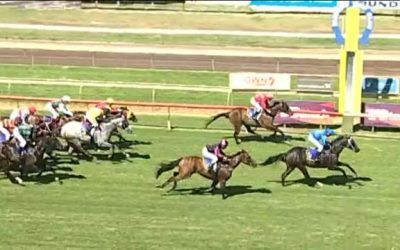 Snitzblitz Arrives In Third At Bunbury