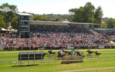 Snitzblitz To Compete At Bunbury On Friday