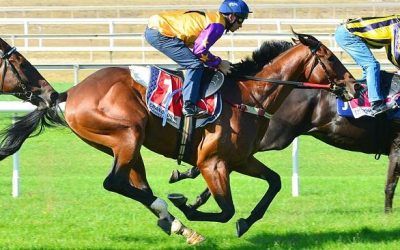 Ben Pearce Trial Results From Lark Hill