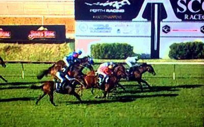 Le Patron Narrowly Beaten In Ascot Race 7