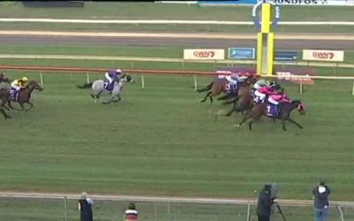 Gigidy Gigidy Goo Lands Back To Back Victories