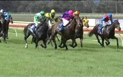 Miss Rosendale Improves This Outing To Finish 3rd At Pinjarra