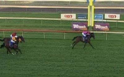 Gigidy Gigidy Goo Takes Out The Last On The Bunbury Card By 3.75 Lengths