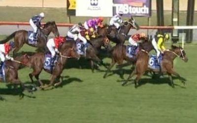 Danablue Puts In A Solid Effort At Pinjarra To Arrive In Second