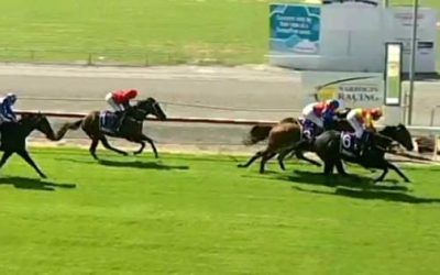 Corse He’s Quick Just Misses To Run Second At Narrogin