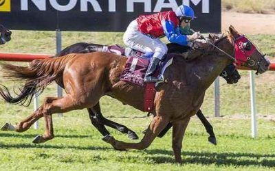 Corse He’s Quick Gets A Crack At Metro Racing