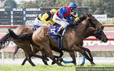 Raising Dubai To Compete At Belmont On Saturday