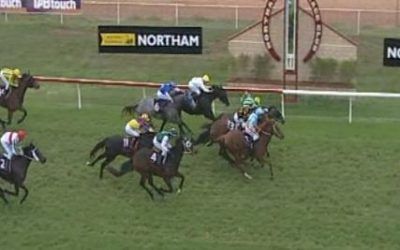 Bella Blitz Runs 3rd First Time Out For The Stable
