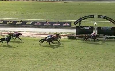 Le Patron Digs Deep In Concluding Stages To Finish 2nd At Belmont