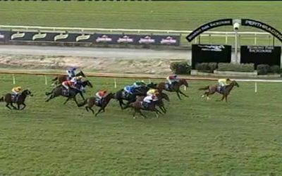 Mad Brad, Solid In Defeat At Belmont