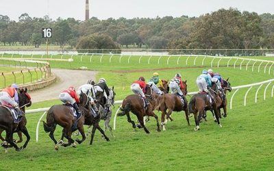 Mad Brad Accept’s For Belmont On Saturday