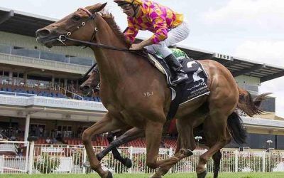 Le Patron Set To Compete At Northam On Thursday