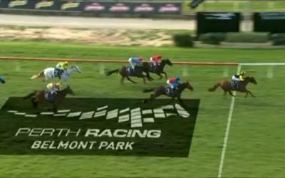Don’tgetcaught Puts In Another Solid Effort To Arrive In Second At Belmont