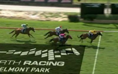 Gigidy Gigidy Goo Runs On Nicely To Run 2nd At Odds